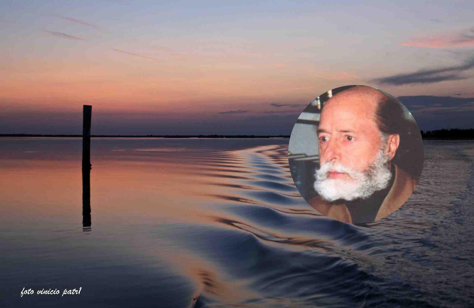 Immagine per I canti inediti 